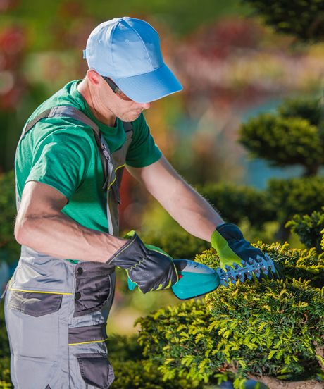 Topiary Gardener Plant Shaper Topiary Gardener Plant Shaper